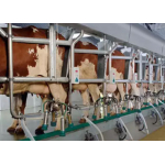 Производство оборудование для молочных ферм, Агроснаб18