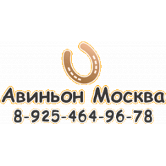 Компания Авиньон-Москва