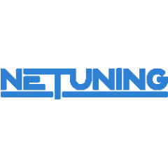 Нетюнинг. NETUNING. Логотип Санлайн PNG.