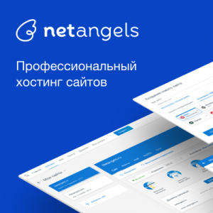 Крупнейший хостинг-провайдер России NetAngels