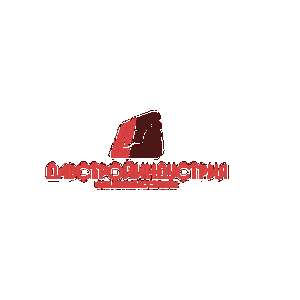 Торгово-производственная компания ДавСтройИндустрия